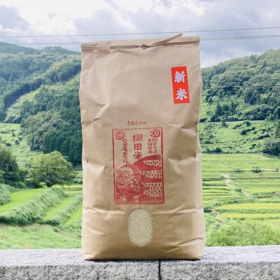 令和4年産 　美咲町大垪和西棚田米　宮尾農場の「きぬむすめ(精米)」10kg | ふるさと納税のお礼品