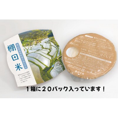 レンジアップごはん　岡山県美咲町大垪和西棚田米(きぬむすめ)20パックセット