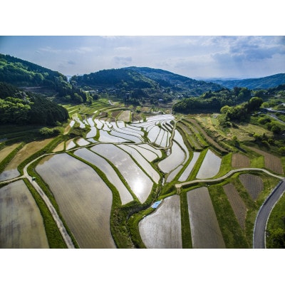 レンジアップごはん　岡山県美咲町大垪和西棚田米(きぬむすめ)20パックセット