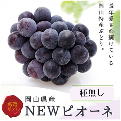 岡山県産 ぼっけえ大粒ニューピオーネ1房(800g以上) 化粧箱入り