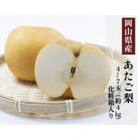 岡山県産 あたご梨 4～7玉(約4kg) 化粧箱入り