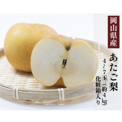 岡山県産 あたご梨 4～7玉(約4kg) 化粧箱入り