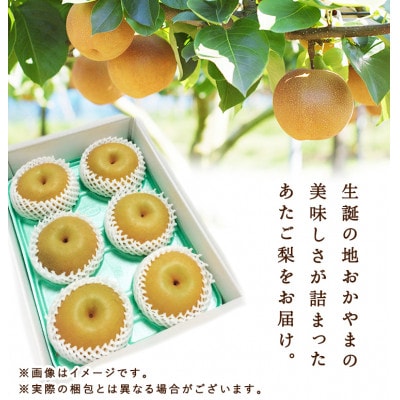岡山県産 あたご梨 4～7玉(約4kg) 化粧箱入り