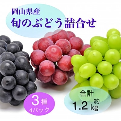 岡山県産 旬のぶどう詰合せ 3種4パックセット