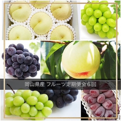【発送月固定定期便】岡山県産  フルーツ定期便全6回