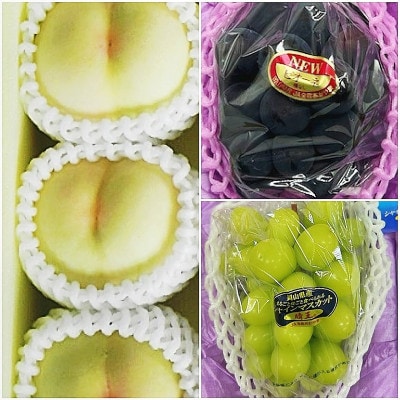 【発送月固定定期便】岡山県産 フルーツ定期便《お一人様向け》全3回