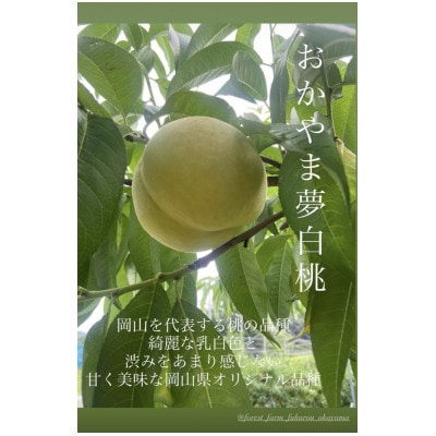 おかやま夢白桃