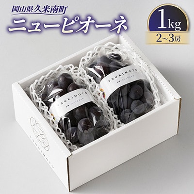 【種なし】岡山県産　ニューピオーネ　1kg箱(2～3房入り)