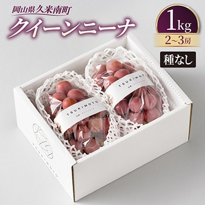 【種なし】岡山県産クイーンニーナ 1kg箱(2~3房入り)