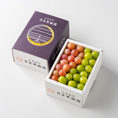 岡山県産　摘み落としぶどう　農家セレクト2種類詰め合わせ　1kg