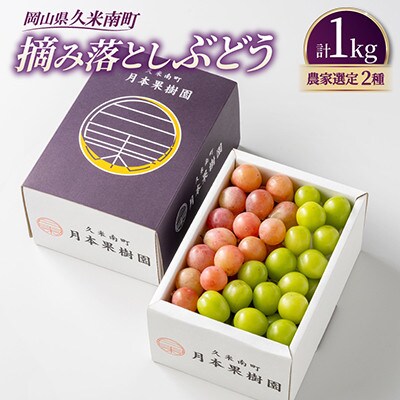 岡山県産　摘み落としぶどう　農家セレクト2種類詰め合わせ　1kg