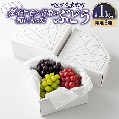 岡山県産　ダイヤモンド型の箱に入ったぶどう　厳選3種　1kg