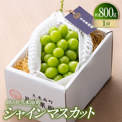【種なし】岡山県産シャインマスカット 1房箱 計約800g