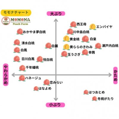 【訳あり】ご家庭用 モモナピーチファームの桃 1.5kg(5～7玉)6月中旬～8月下旬発送予定