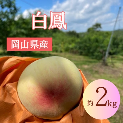 先行予約【2025年7月中旬より発送】とろける果肉とたっぷりの果汁の岡山の白桃・白鳳(2kg箱)