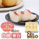 先行予約【2025年9月上旬より発送】しっかりした果肉と果汁たっぷりの岡山の白桃・恵白(2kg箱)