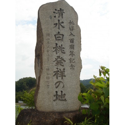 岡山市　一宮地区産　清水白桃　5～6玉入り　1.5キロ