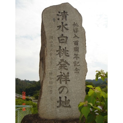 岡山市　一宮地区産　清水白桃　6～8玉入り　2キロ