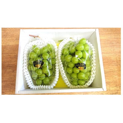 シャインマスカット　500g以上×2房