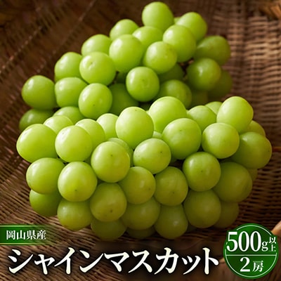 シャインマスカット　500g以上×2房