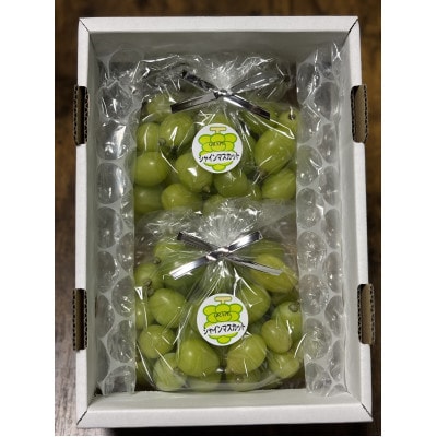 訳アリ　家庭用　糖度18度以上　つみ落としシャインマスカット 計1キロ以上