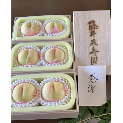 岡山産白桃　ご家庭用　1キロ以上　品種園主お任せ　訳アリ