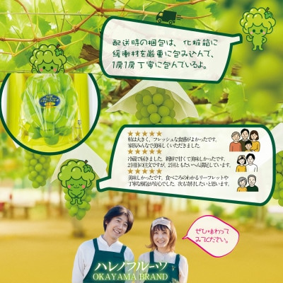 先行予約 木熟ぶどう ハレノシャイン シャインマスカット晴王 1房 約700g 9月～11月発送