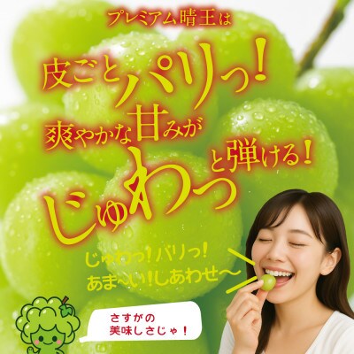 先行予約 木熟プレミアム シャインマスカット晴王 岡山県船穂産 2房 約1.6kg 9月～10月発送