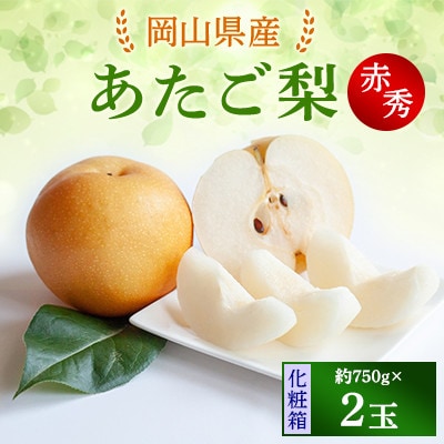 【2025年発送】あたご梨 2玉 化粧箱 約750g玉(A2-75)