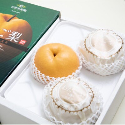 【2025年発送】あたご梨3.6kg 化粧箱 約1.2kg×3玉(A45-3)