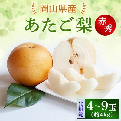 【2025年発送】あたご梨 4kg 化粧箱 4～9玉(A40-4-9)