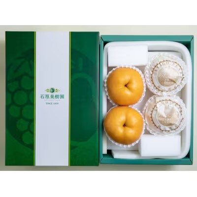 あたご梨4.5kg贈答箱赤秀 3～9玉 【A45-4-9】