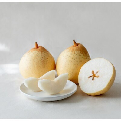 【2025年発送】ヤーリー 3kg 贈答箱 5～10玉(YR-30)