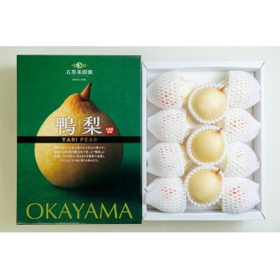 【2025年発送】ヤーリー4kg 化粧箱 11～13玉(YRK-40)