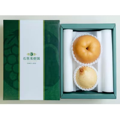 【2025年発送】詰め合わせ 2玉 贈答箱 あたご1玉・鴨梨1玉(AY-10)