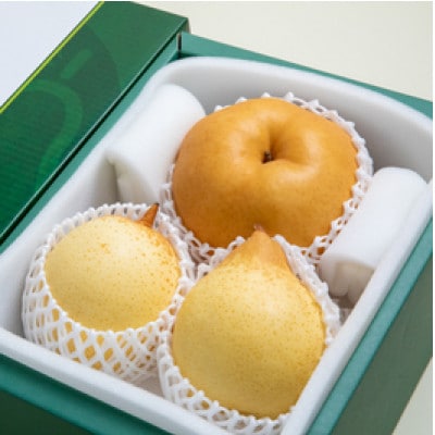 【2025年発送】詰め合わせ 2kg 贈答箱 あたご 1～2玉・鴨梨 2玉(AY-20)