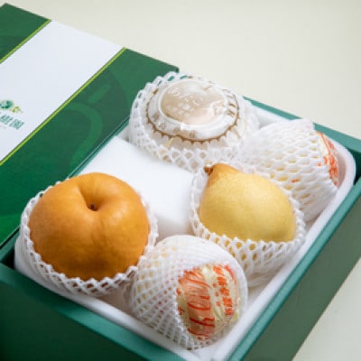 【2025年発送】詰め合わせ 3kg 贈答箱 あたご 2～3玉・鴨梨 3～4玉(AY-30)