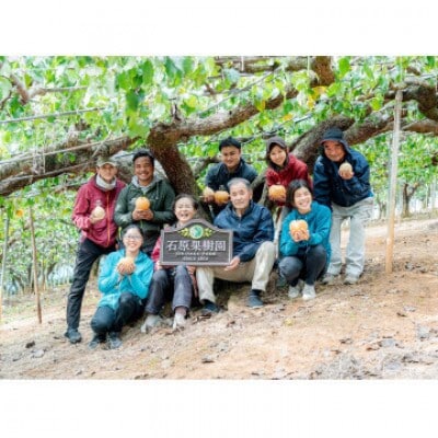 【2025年発送】詰め合わせ 4kg 化粧箱 あたご2～3玉・鴨梨3～6玉(AYK-40)