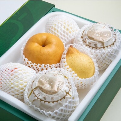 【2025年発送】詰め合わせ 4.5kg 贈答箱 あたご2～3玉・鴨梨3～6玉(AY-45)