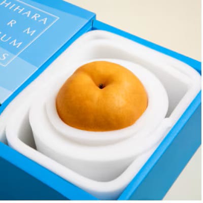 備前横綱梨1玉箱赤秀(1～1.5kg玉)(BY1-10)