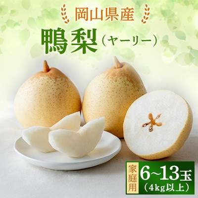 【2025年発送】家庭用 ヤーリー 4kg箱 6～13玉(YR-K)