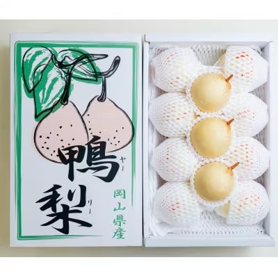 【2025年発送】家庭用 ヤーリー 4kg箱 6～13玉(YR-K)