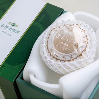 あたご梨 1玉 贈答箱 赤秀 約900g玉(A1-09)