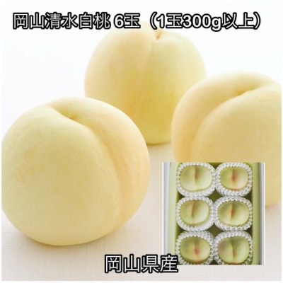 【2026年発送】岡山県産 岡山清水白桃 6玉(1玉300g以上)化粧箱入り
