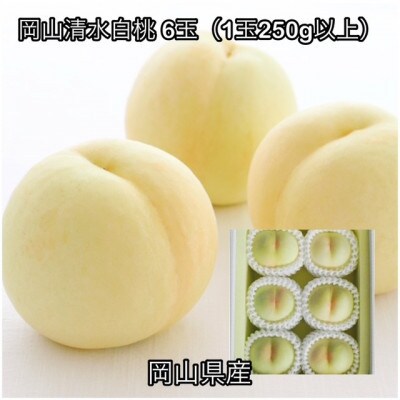 【2026年発送】岡山県産 岡山清水白桃 6玉(1玉250g以上)化粧箱入り