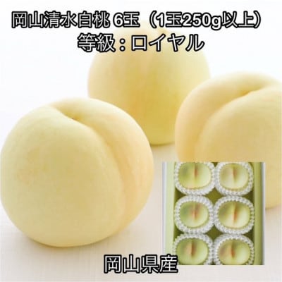 【2026年発送】岡山県産 岡山清水白桃6玉(1玉250g以上)ロイヤル 化粧箱入り
