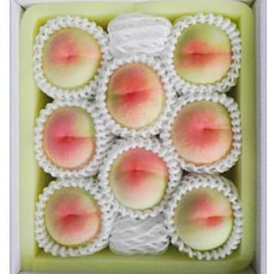 【2026年発送】岡山県産 岡山白桃 8玉(1玉200g以上)ロイヤル 化粧箱入り