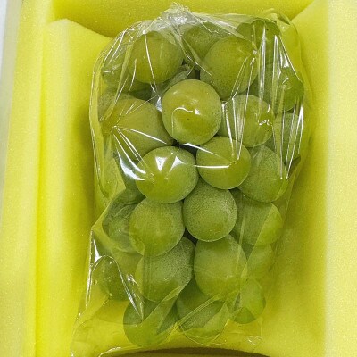 【2026年発送】岡山県産 マスカットオブアレキサンドリア 1房 特秀(700g以上)化粧箱入り