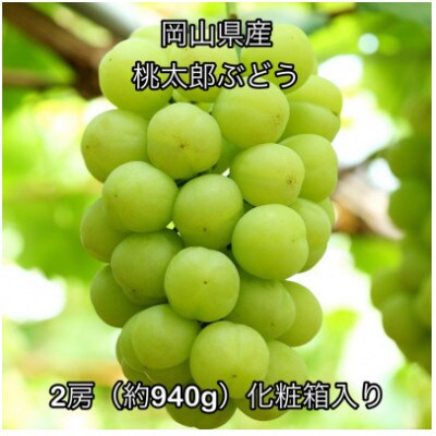【2026年発送】岡山県産 桃太郎ぶどう 2房(約940g)化粧箱入り