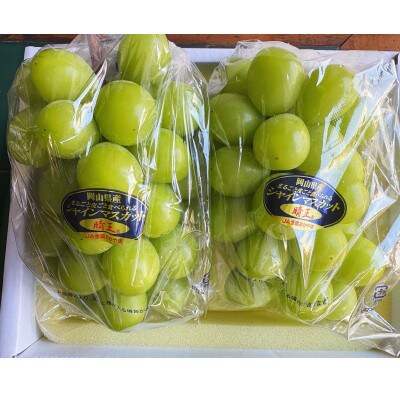 【2026年発送】岡山県産 シャインマスカット『晴王』2房(約1.1kg)化粧箱入り